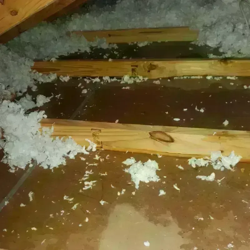 Attic Water Damage in Matteson, IL