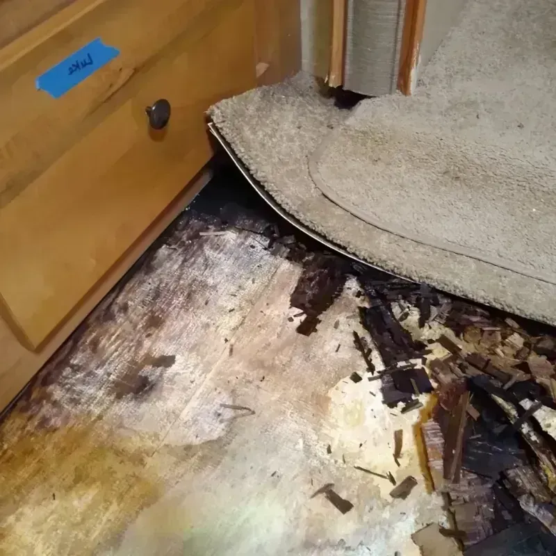 Wood Floor Water Damage in Matteson, IL